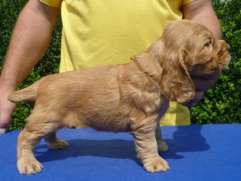 5. Gapy pod Ořechem-růžová.JPG